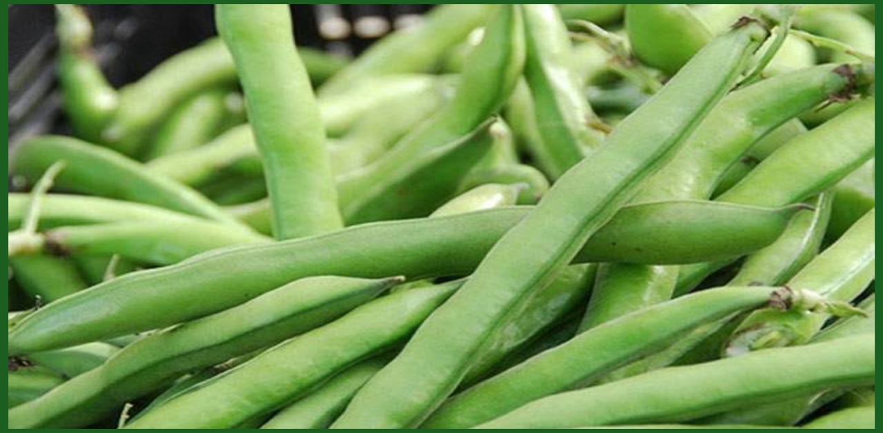 10 Powerful Benefits of Barbati Sabji: बरबटी की सब्जी के फायदे 1 10 Powerful Benefits of Barbati Sabji: बरबटी की सब्जी के फायदे